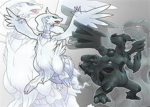 pokemon black and white players with wifi
