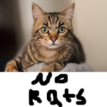 Cats United Together