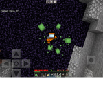 Crab kids