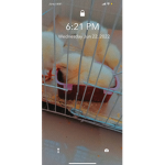 Birdie's Cafe