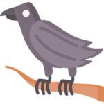 The crows army