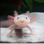 Free Bobux :) :)