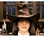 Harry Potter super-fans group!!!