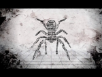 [ Spiders Web ]