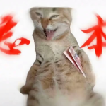 罗布乐交流社区