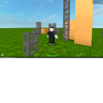 flag #####