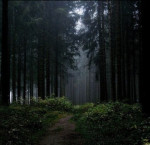 Dark Whispers Society