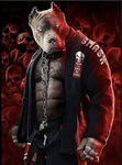 Bull-Tang Karate