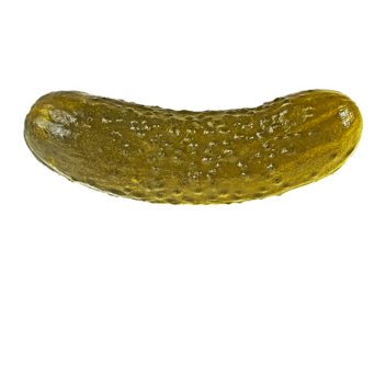 EGG AND PICKLE OBBY