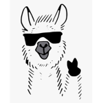 LlamaGaming Fan Group
