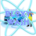 Bloxy Wash