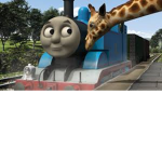 the thomas group fans