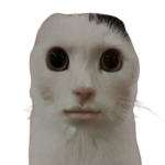 Gustaw