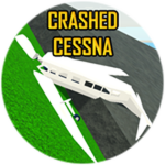 Crashed Cessna