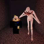 Spider City 101