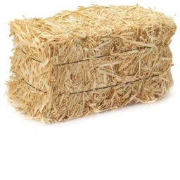Giveaway, and fight in grass for no reason