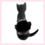 everpink.