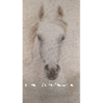 Wonder Wood Equestrian
