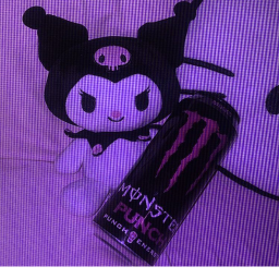 kuromi place
