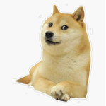 Group of doges and cats