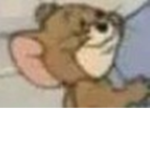 Shayla us rat queen