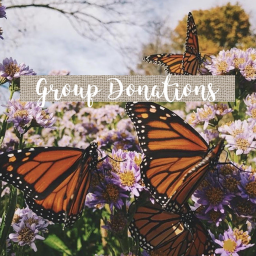 ~aesthetic~peaches~Group Funds~(PLease Donate)