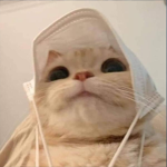 حياكم في قروب hl_roblox