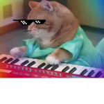Musical Cats Fan Club