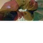 IM A FRICKEN DINO NUGGIE