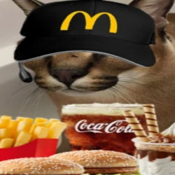 Mc