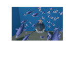 Sharks Bank