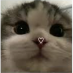 NixiePixie