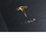 Tesla Army/ Owner Do not freind