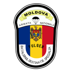 Independent Special Forces Battalion "Fulger"