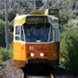 Melbourne and Bendigo the game