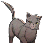 The Warrior Cats Game Fans!