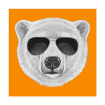 Joe & Polar