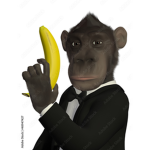 monkey gang with banana