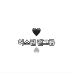 스핀 팬그룹