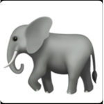 Hairy Elephant Squad