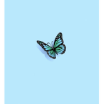 Lovly butterfly