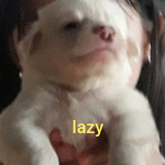 Roblox22abcd
