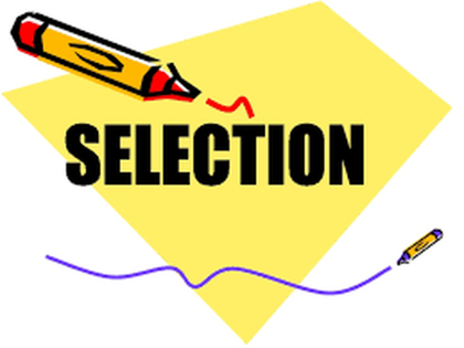 Selection plugin (New button)