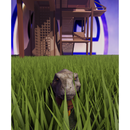 survival the aran the short