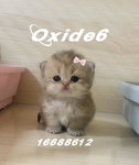 oxide6