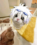 røšêś