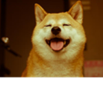scp containment found