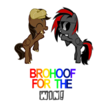 BRONIES AND PROUD!