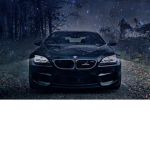 BMW FANS12