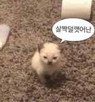 고민 해결